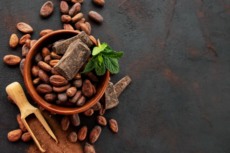 Cacao sabor en el mundo moderno