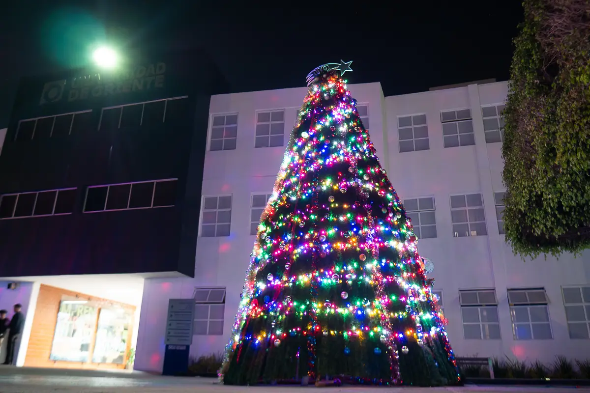 UO Puebla realiza su tradicional encendido de árbol