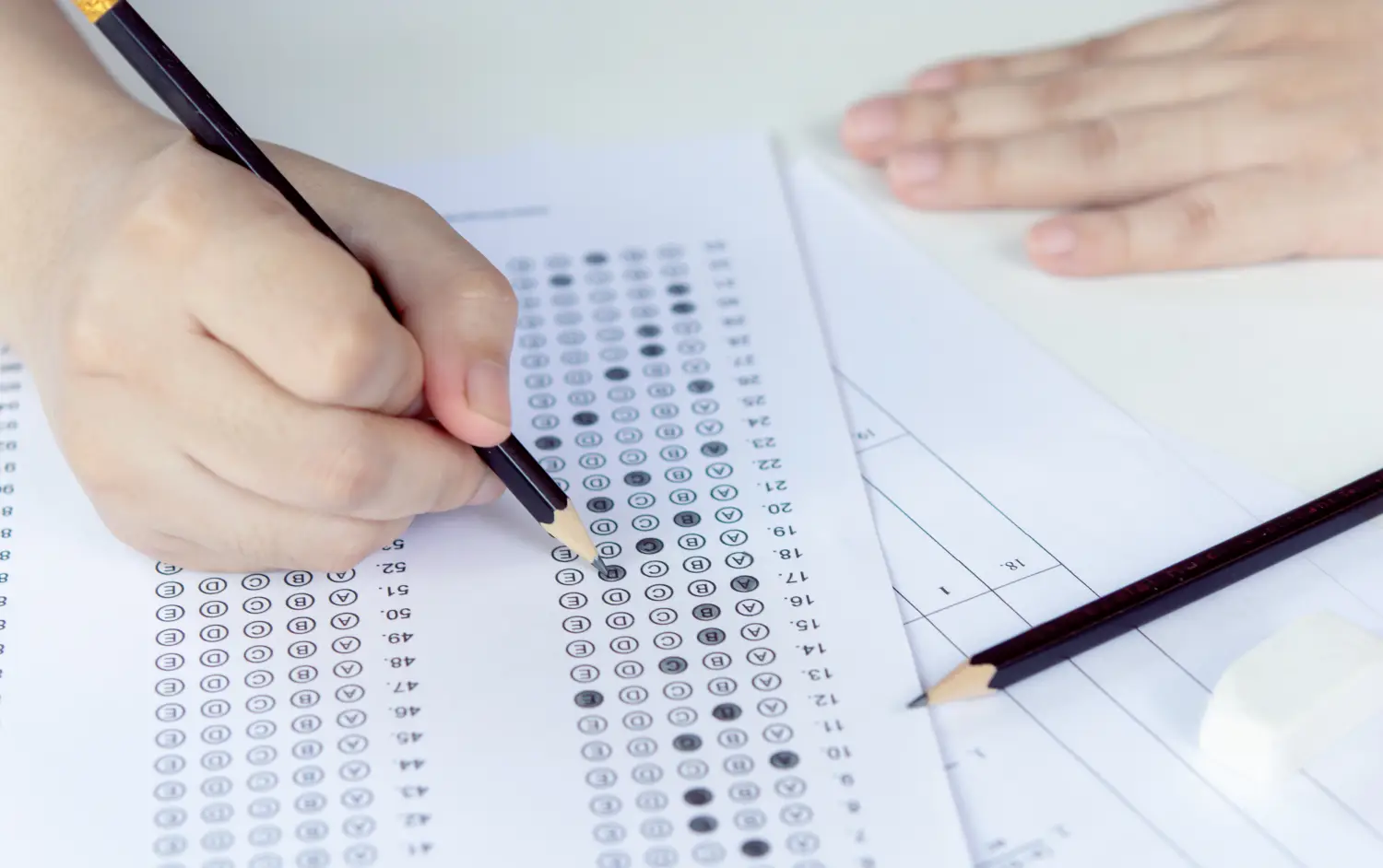 Test Vocacional Universidad