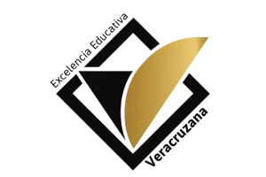 Excelencia Educativa Logo Color