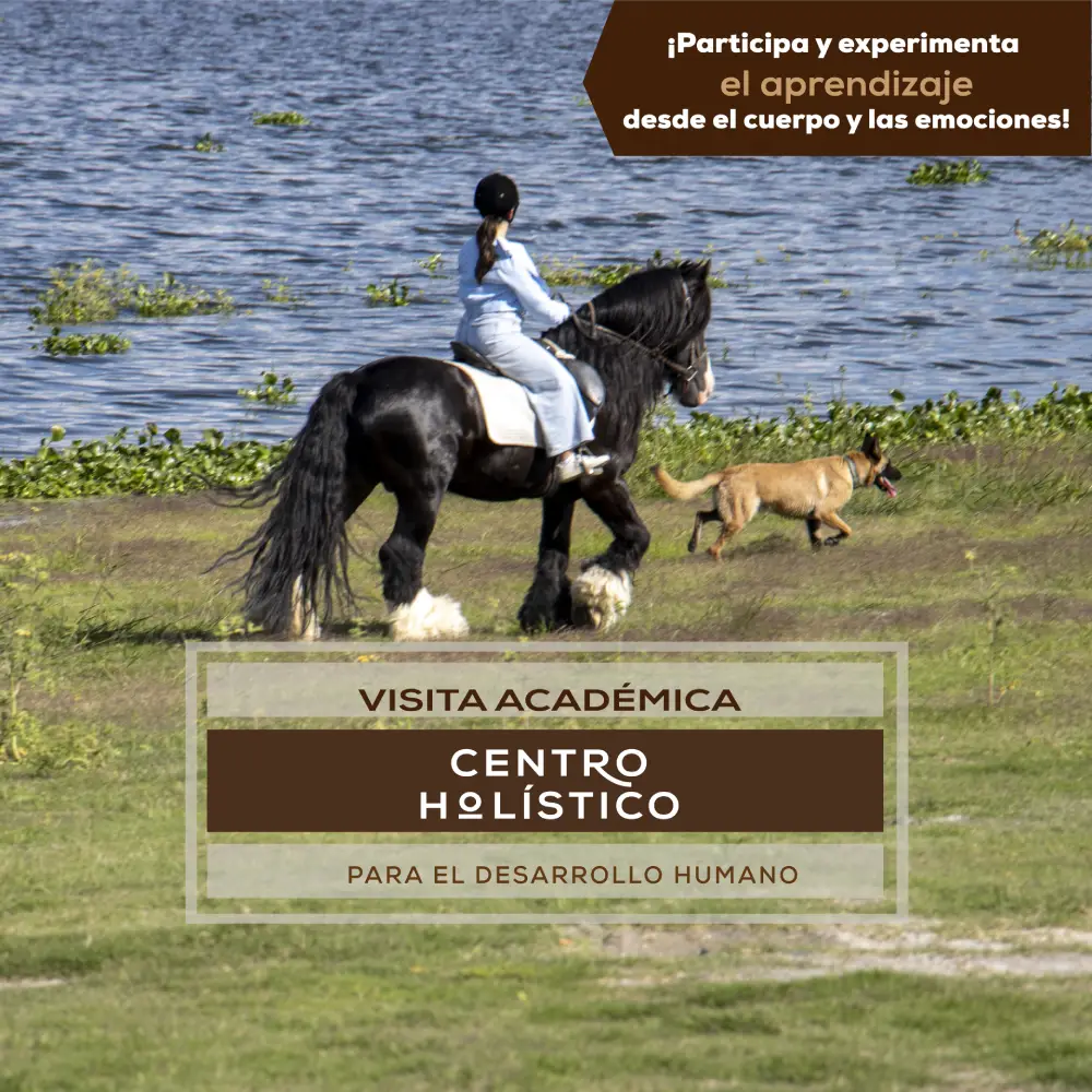 Visita Académica Centro Holístico Animación Previo